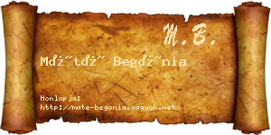 Máté Begónia névjegykártya
